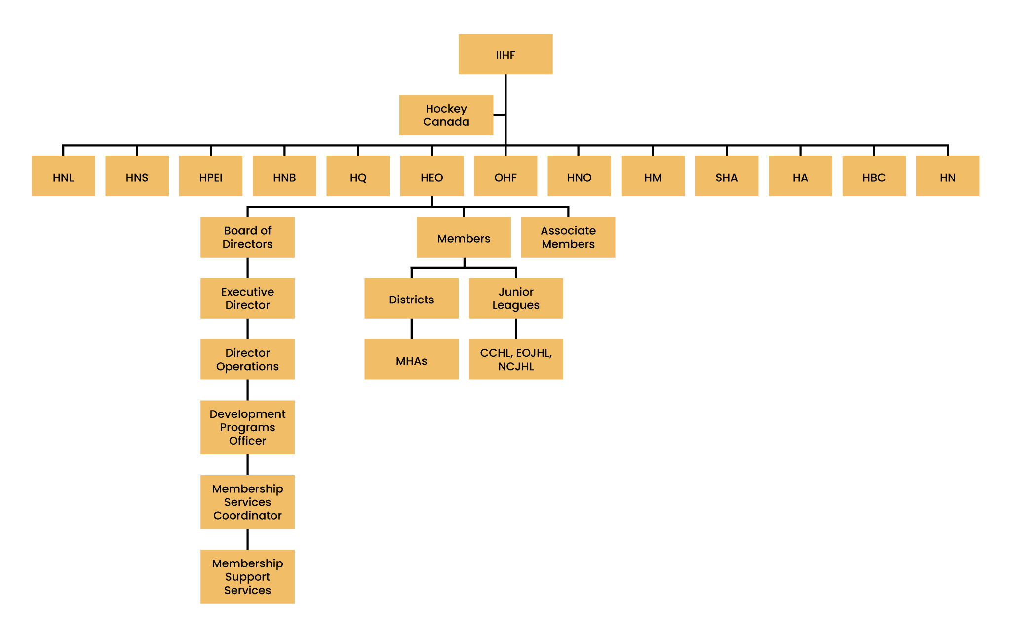 Organizational Chart